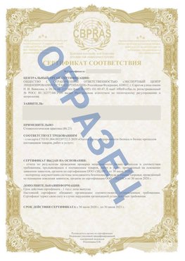 Образец Сертификат СТО 01.064.00220722.2-2020 Омск Сертификат СТО 01.064.00220722.2-2020 