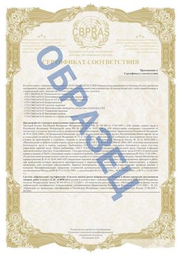 Образец Приложение к СТО 01.064.00220722.2-2020 Омск Сертификат СТО 01.064.00220722.2-2020 